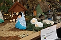 VBS_8370 - Presepe Chiesa di Martinetta Natale 2024